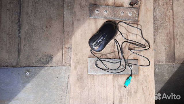 Мышка для компьютера