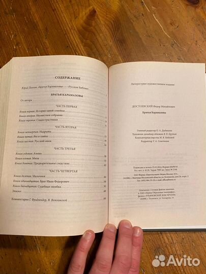 Братья Карамазовы Достоевский фм