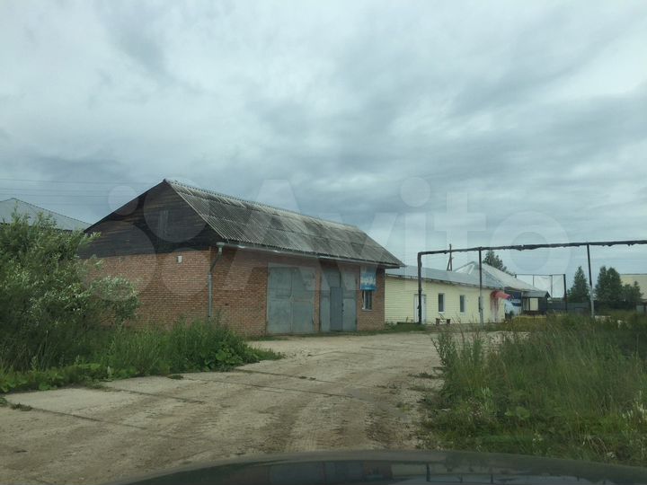 Торговая площадь, 146.5 м²