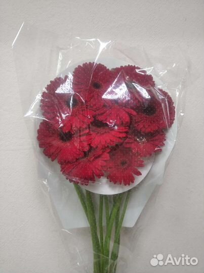 Розы и другие цветы оптом