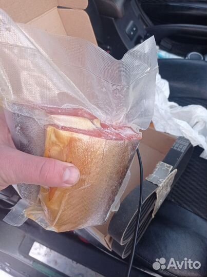 Лосось(Палия)