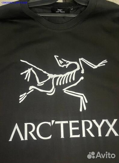 Футболка Arcteryx