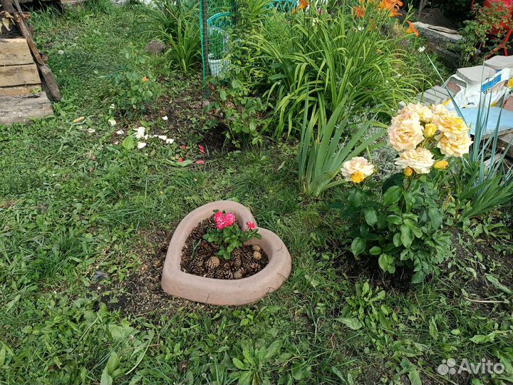 Клумба из бетона Сердечко