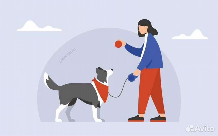 Выгул собак