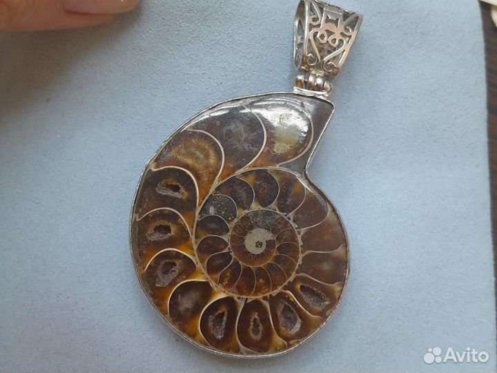 Аммонит кулон