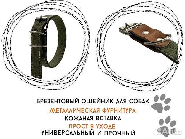 Ошейник для собак