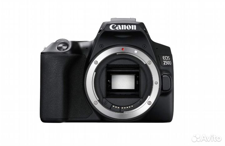 Canon EOS 250D body Black (Новый)
