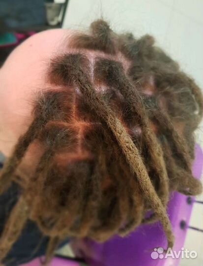 Ищу модель на натуральные дреды