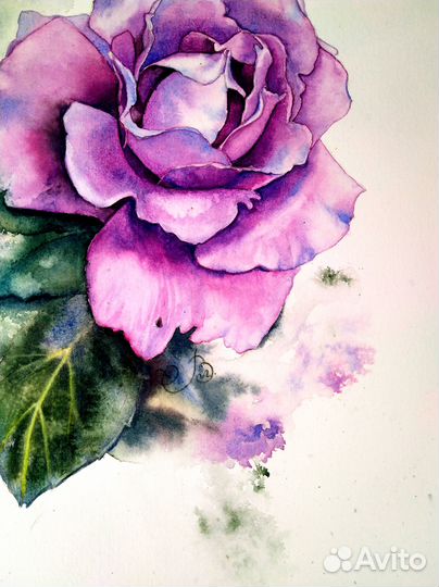 Картина розы акварель А4