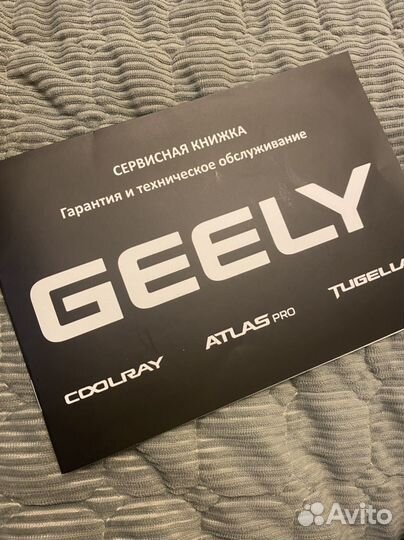 Сервисная книжка geely