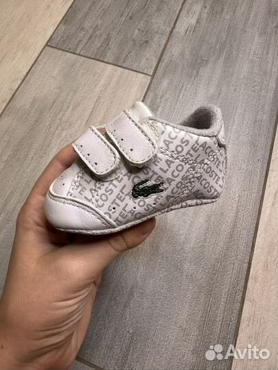 Пинетки lacoste оригинал