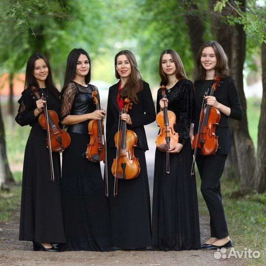 Живая музыка дуэт, квартет La Belle