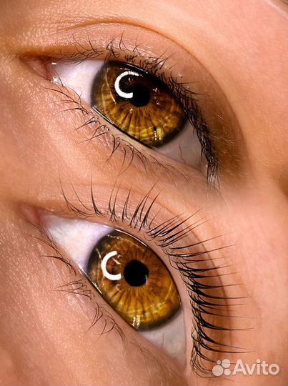 Брови / Ресницы / Полировка волос