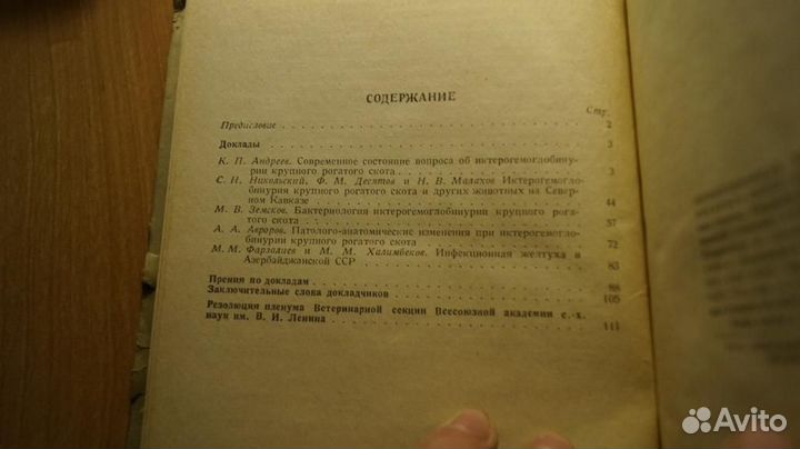 Инфекционная желтуха крупного рогатого скота (икте