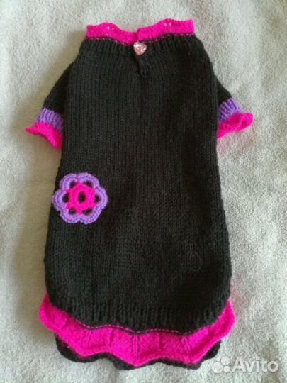 Одежда для сфинкса, девон рекса. Новое