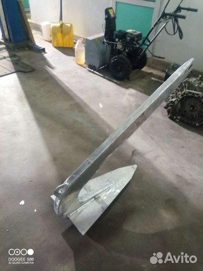 Якорь болотный зуб Зейзы