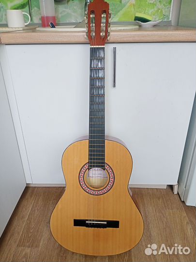 Акустическая гитара, Colombo