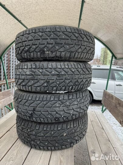 Tigar Sigura Stud 195/60 R15