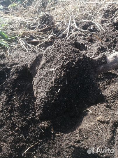 Навоз перегной