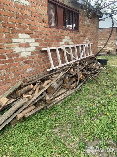 Дрова бесплатно самовывоз