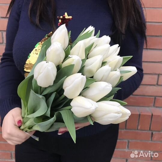 Букет из белых сортовых тюльпанов 51 шт