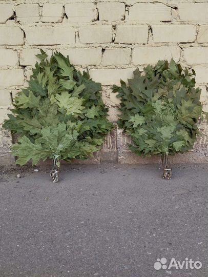 Веник банный, веник для бани канадский дуб