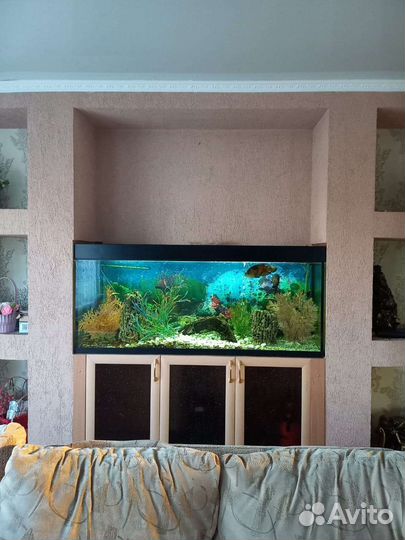 Аквариум