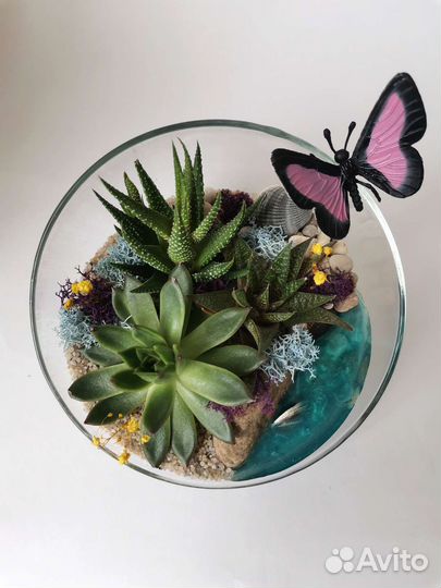 Флорариум на подарок. 16 см. Скошенный шар