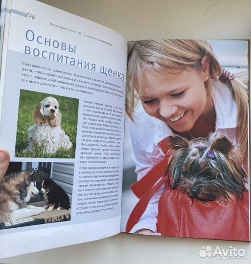 Энциклопедия «Собаки»