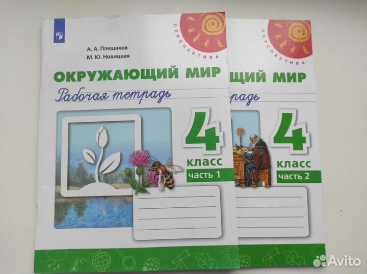 Рабочая тетрадь окружающий мир 4 класс