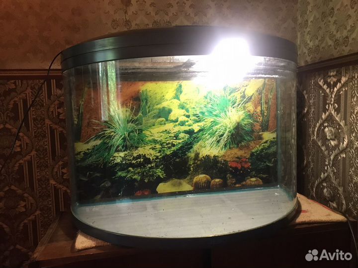 Аквариум jebo r790