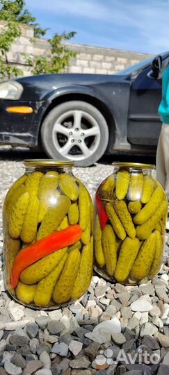 Огурцы соленые