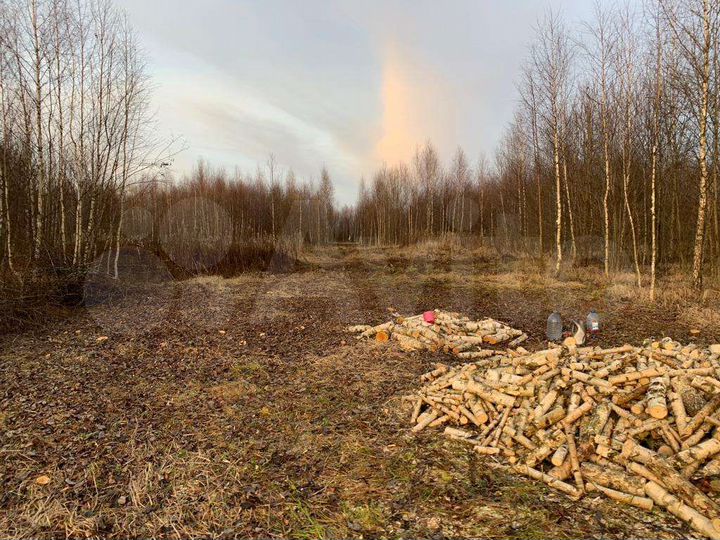 Участок 2 га (СНТ, ДНП)