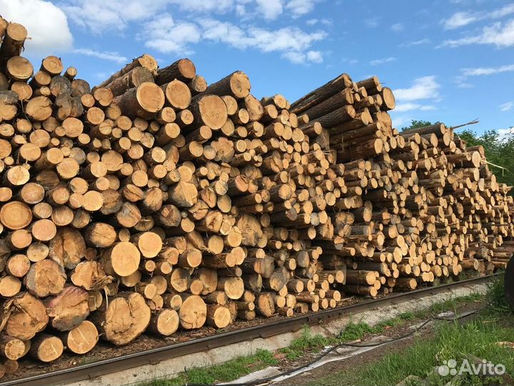 Пилорама в Кургане