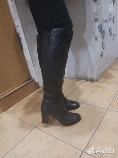 Сапоги женские осенние