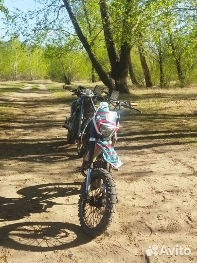 Regulmoto seven medalist