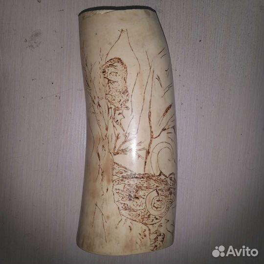 Бивень мамонта