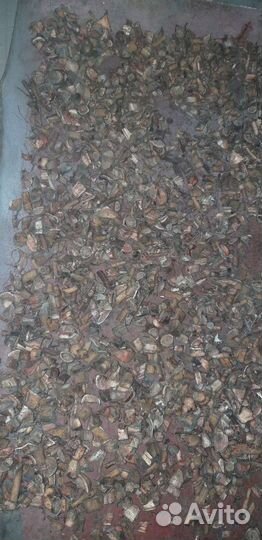 Корень девясила