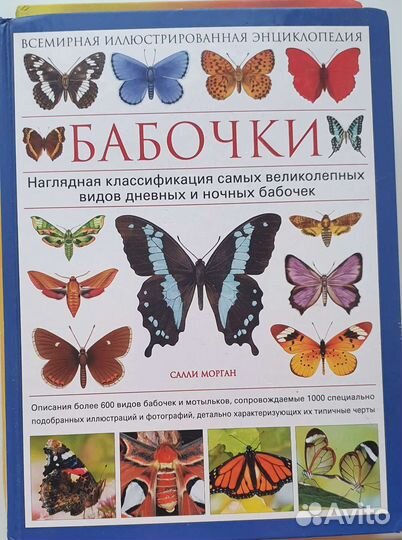 Книга. Бабочки. Полная энциклопедия. Для детей