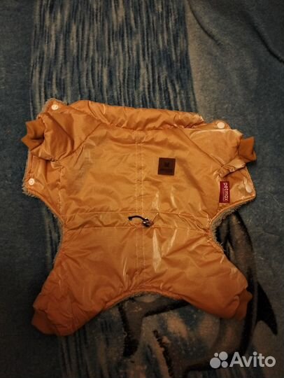 Одежда для собак