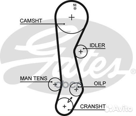 39128x26 Ремень грм 5389XS Gates