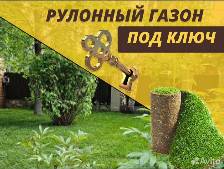 Газон рулонный стандартный