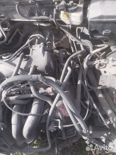 Двигатель ford focus 1 cdda