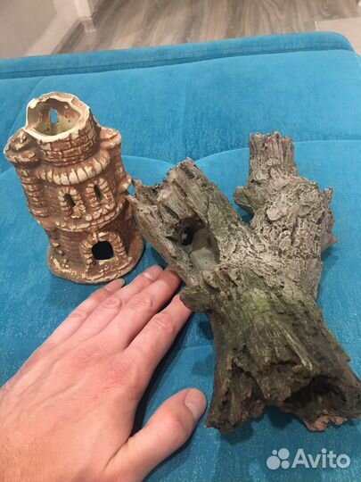 Аквариумные растения и креветки