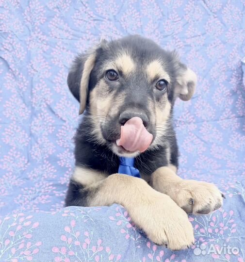 Вы тоже об этом думаете