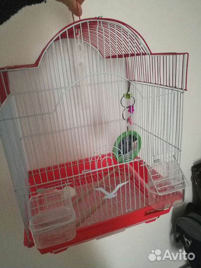 Клетка для попугая