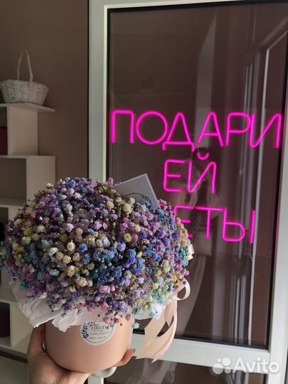 Гипсофила радужная