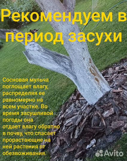Кора сосновая/мульча С доставкой