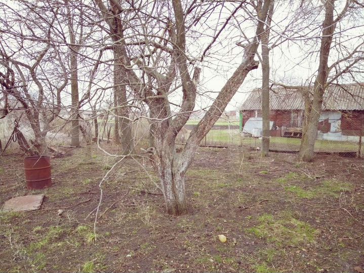 Дом 40 м² на участке 32 сот.