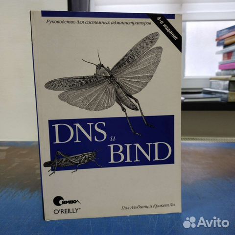 DNS и BIND